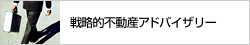 �헪�I�s���Y�A�h�o�C�U���[