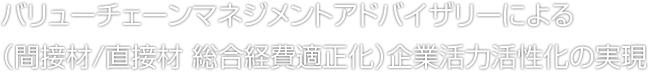 バリューチェーンマネジメントアドバイザリー（間接材/直接材 総合経費適正化）による企業活力活性化の実現